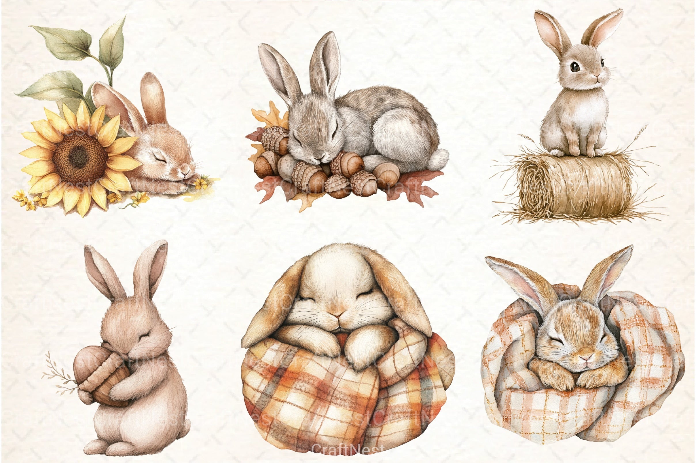 Cute Autumn Bunny Clipart Bundle 77 - CraftNest - Digital Crafting and Art