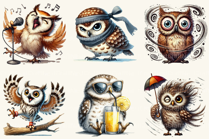Funny Owl Clipart Bundle - CraftNest - Digital Crafting and Art