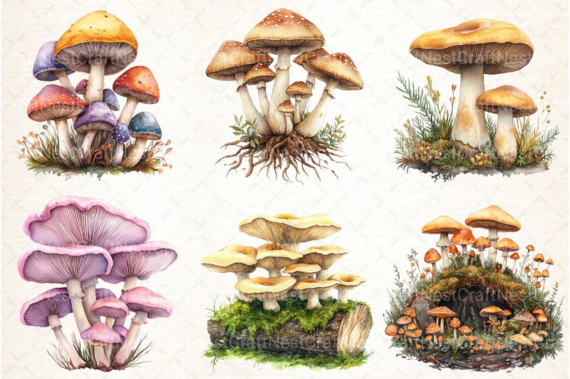 Mushroom Clipart Bundle 2 - CraftNest - Digital Crafting and Art