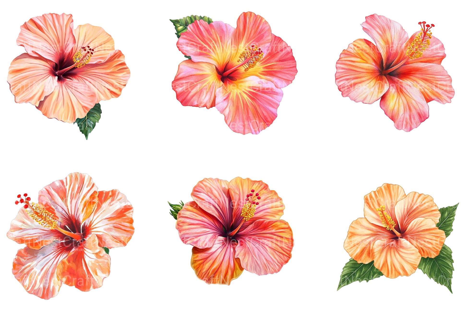 Summer Flower Clipart Bundle - CraftNest - Digital Crafting and Art