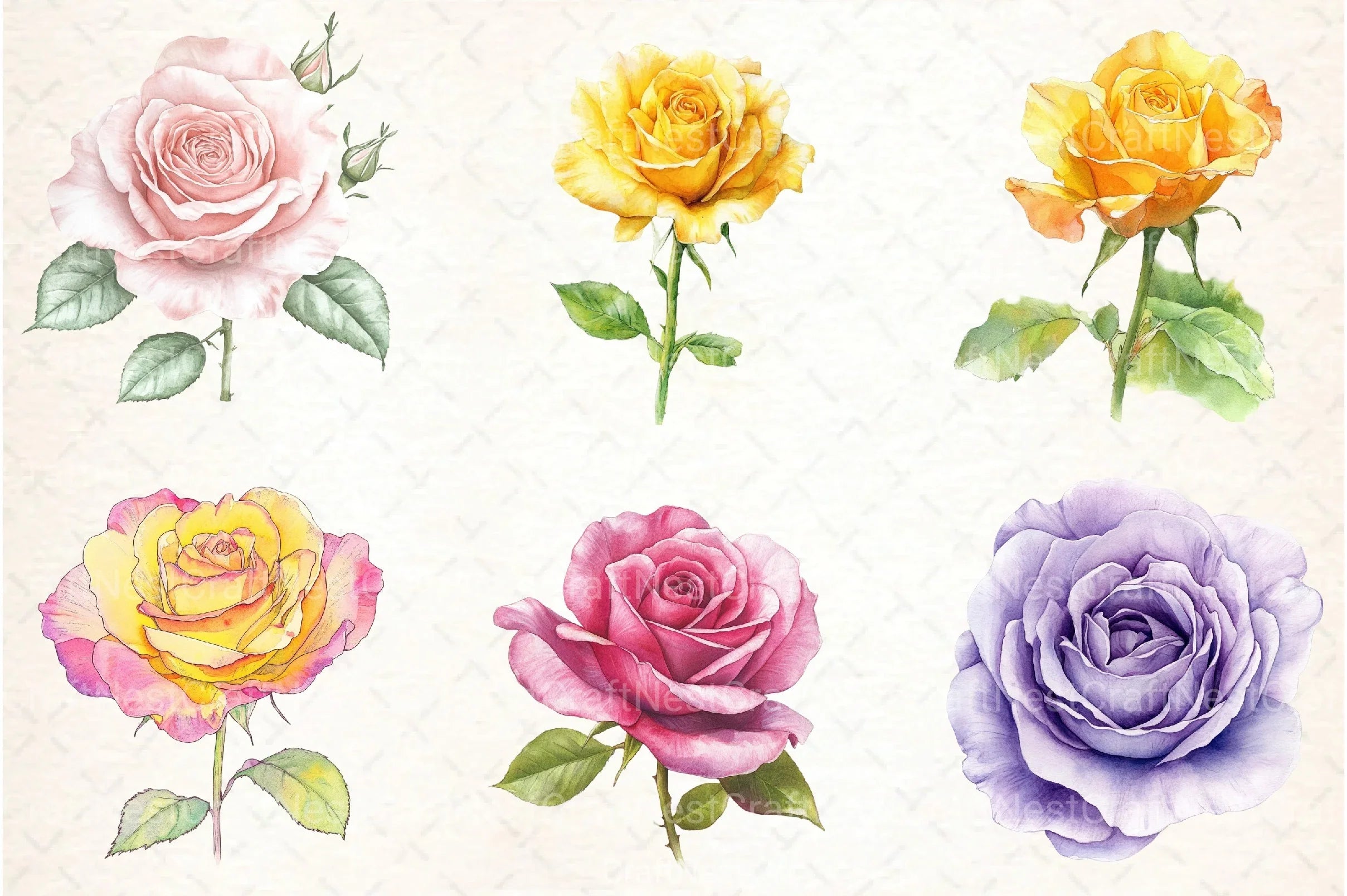 Spring Roses Clipart Bundle Lithograph - CraftNest - Digital Crafting and Art