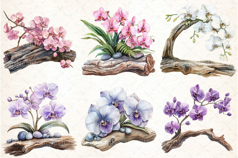 Exclusive Orchid Ikebana on Driftwood Clipart Bundle - CraftNest - Digital Crafting and Art