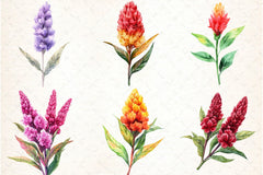 Celosia Flower Clipart Bundle 11 - CraftNest - Digital Crafting and Art