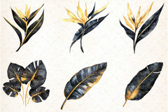 Black and Gold Tropical Clipart Bundle - CraftNest - Digital Crafting and Art