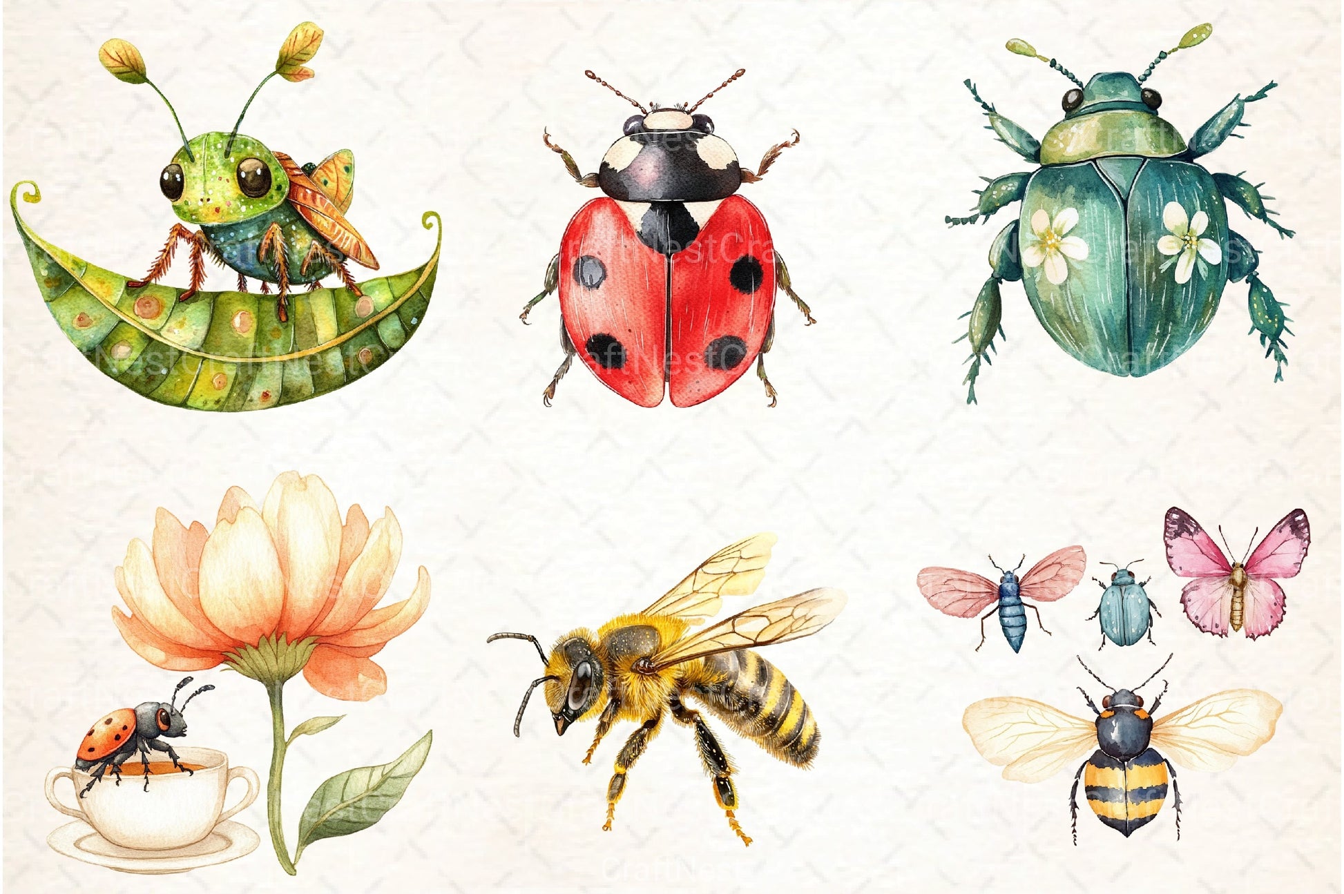 Bugs Clipart Bundle Collection - CraftNest - Digital Crafting and Art