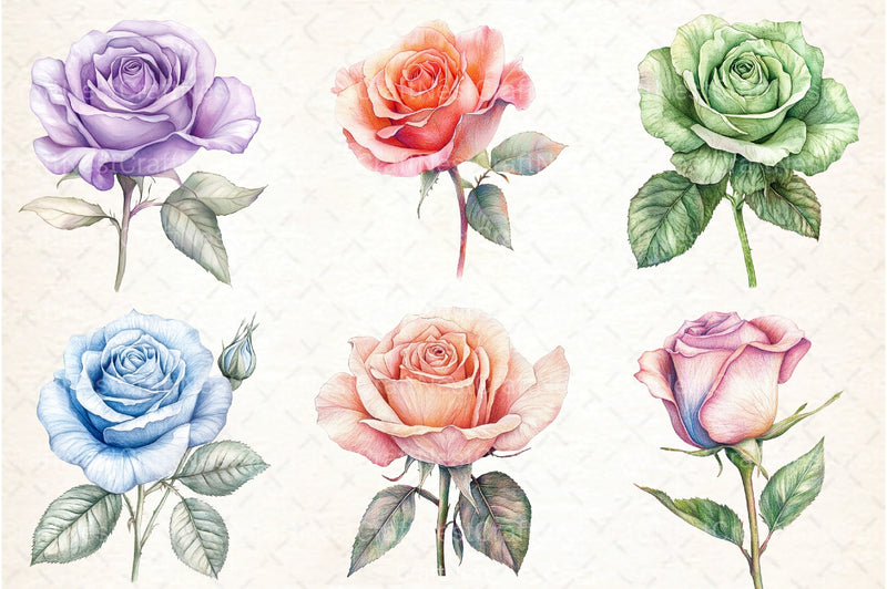 Colored Pencil Pastel Roses Clipart Bundle - CraftNest - Digital Crafting and Art