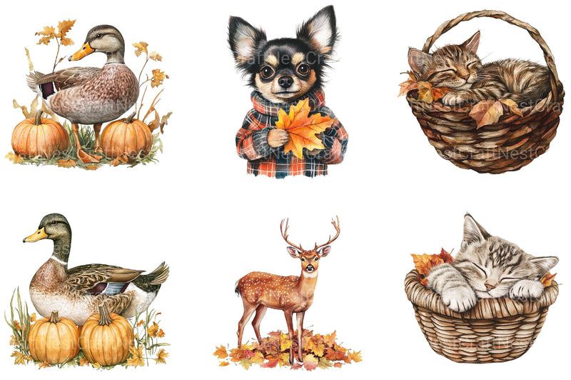 Autumn Animals Clipart - CraftNest - Digital Crafting and Art