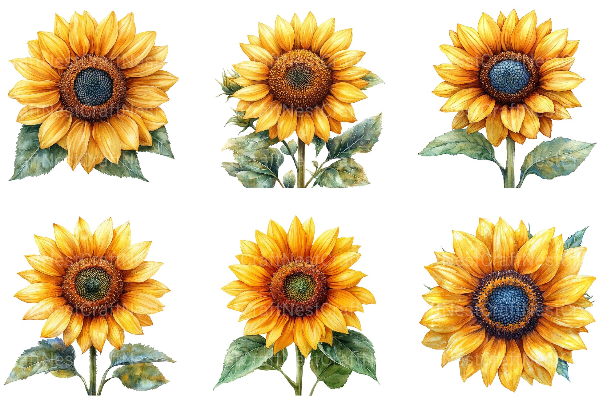 4th Of July Sunflower Clipart Bundle - CraftNest - Digital Crafting and Art