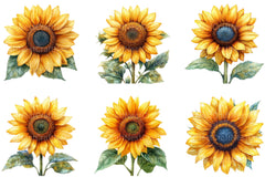 4th Of July Sunflower Clipart Bundle - CraftNest - Digital Crafting and Art
