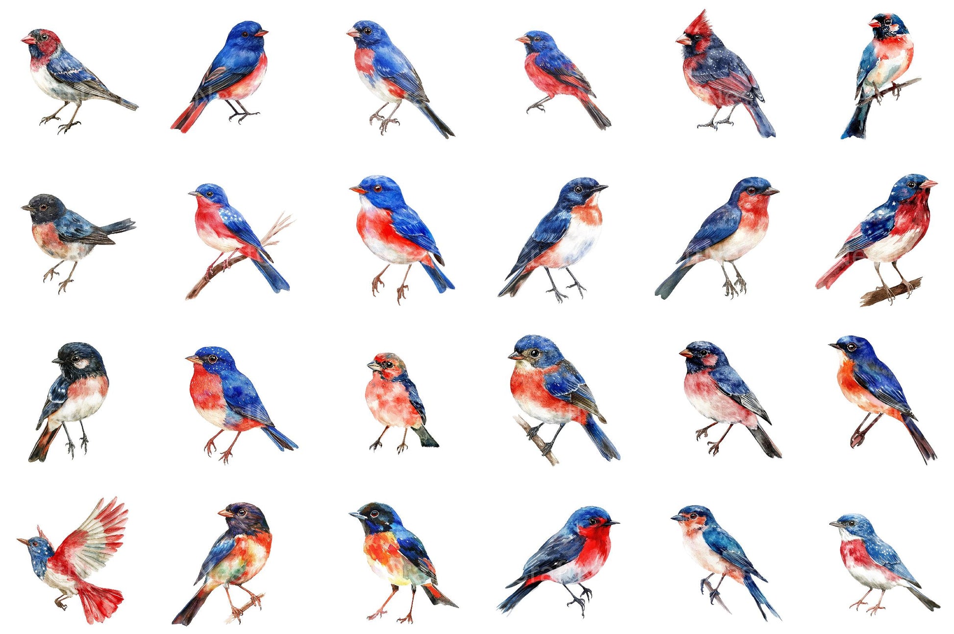 4th of July Bird Sublimation Clipart - CraftNest - Digital Crafting and Art