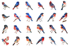 4th of July Bird Sublimation Clipart - CraftNest - Digital Crafting and Art