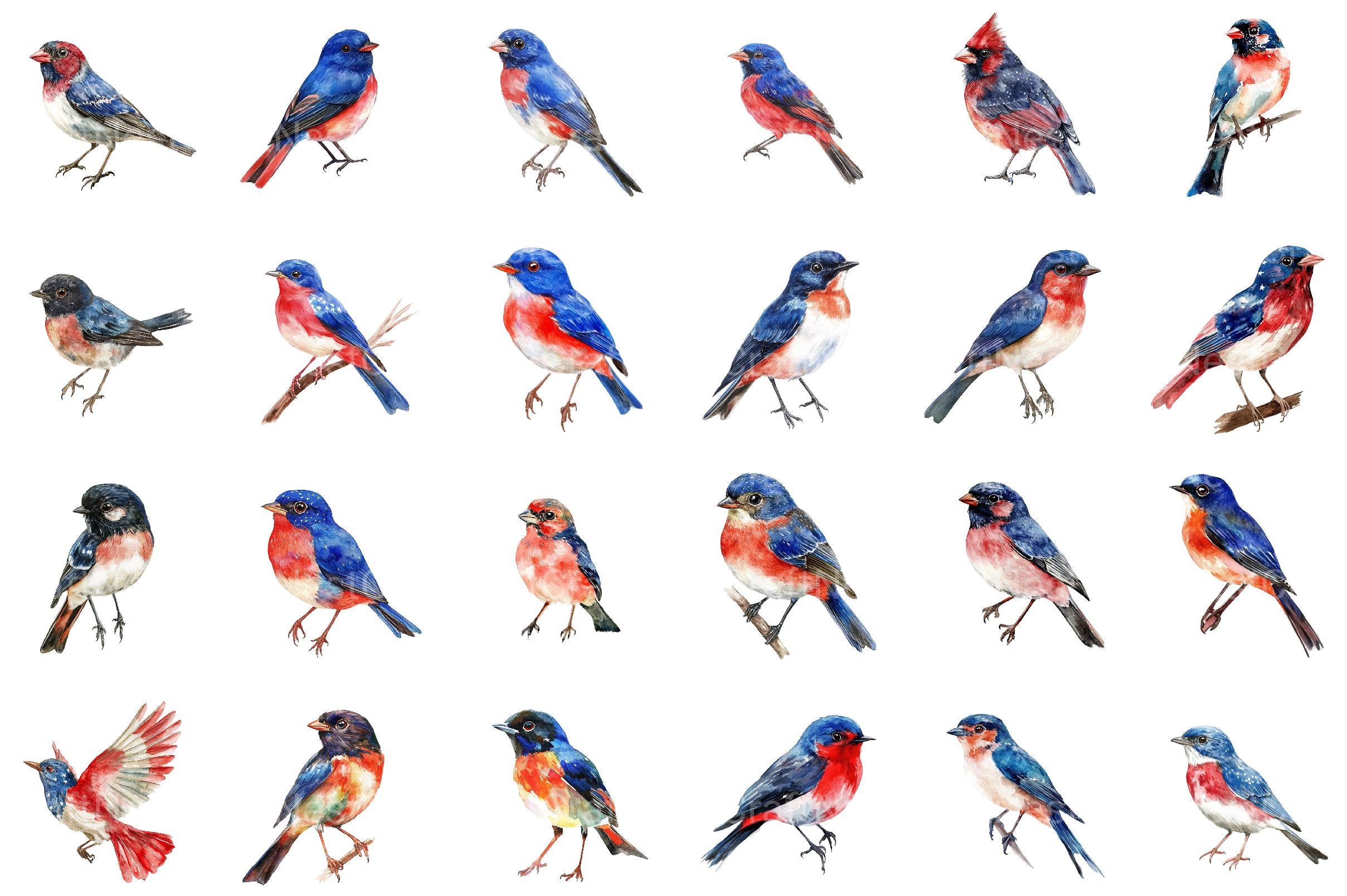4th of July Bird Sublimation Clipart - CraftNest - Digital Crafting and Art