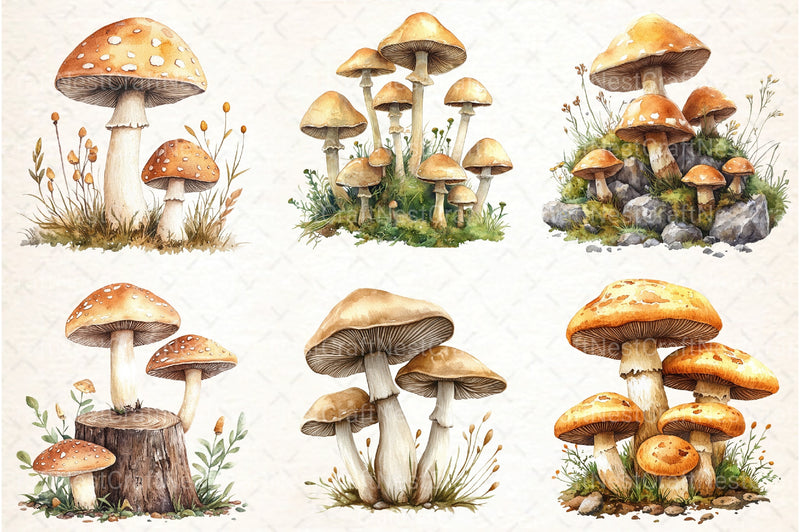 Mushroom Clipart Bundle 2 - CraftNest - Digital Crafting and Art