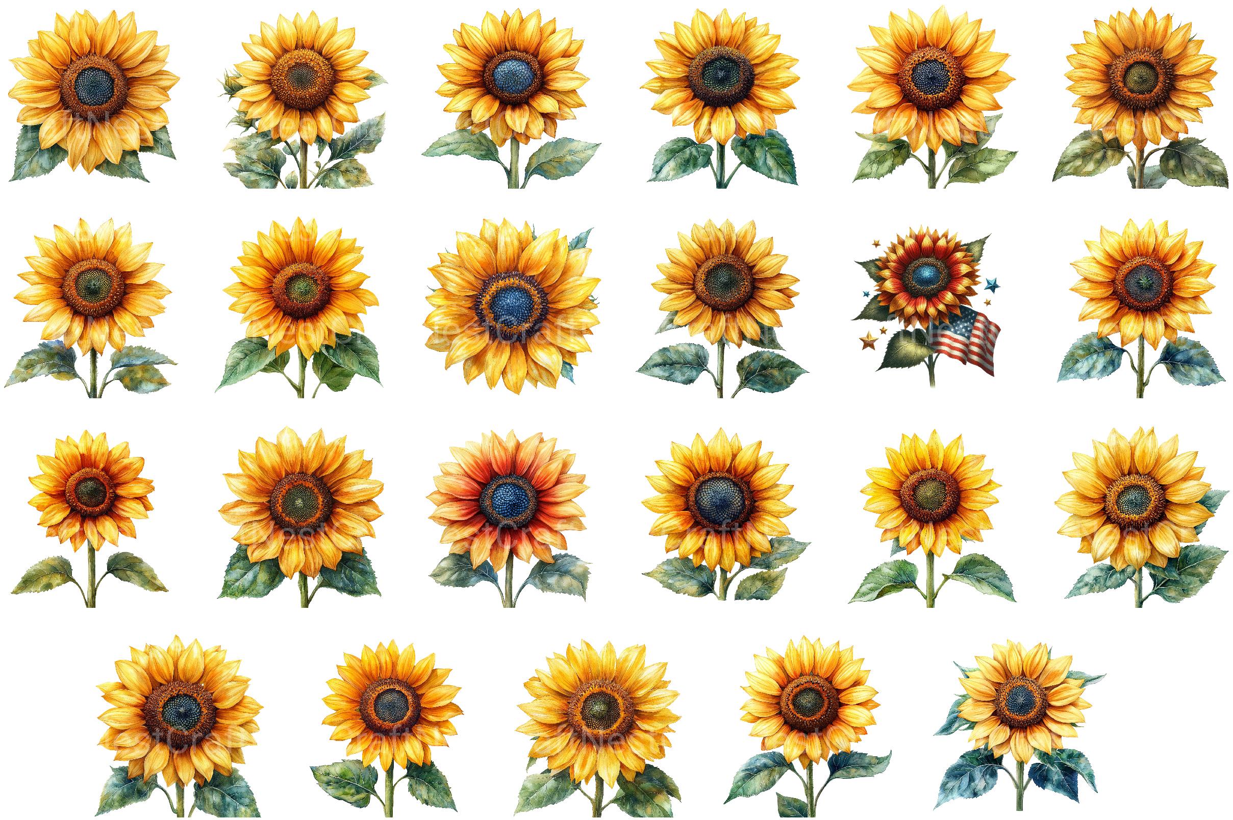 4th of July Sunflower Clipart 2 - CraftNest - Digital Crafting and Art