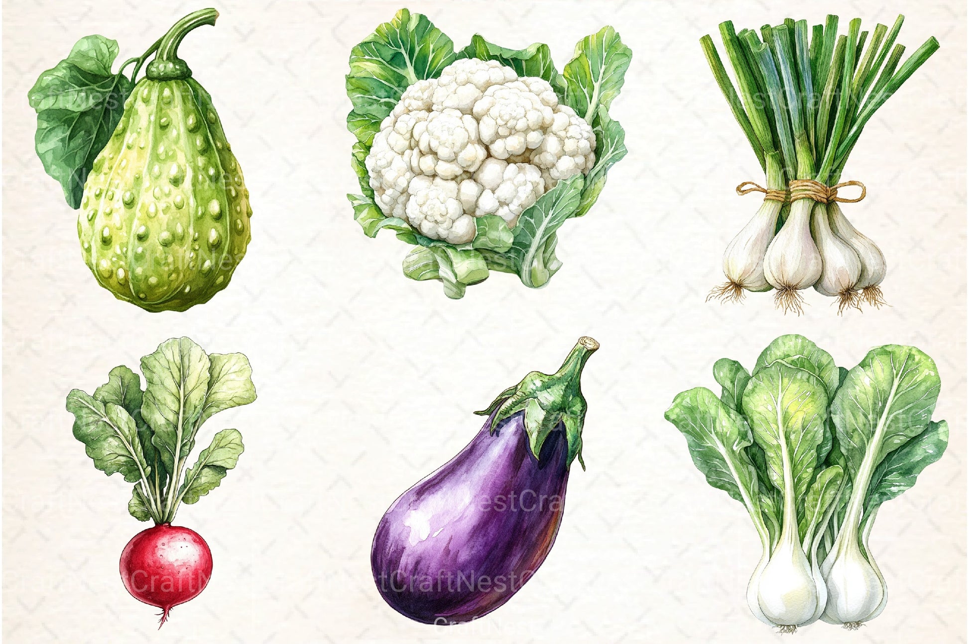Vegetables Clipart Bundle 99 - CraftNest - Digital Crafting and Art