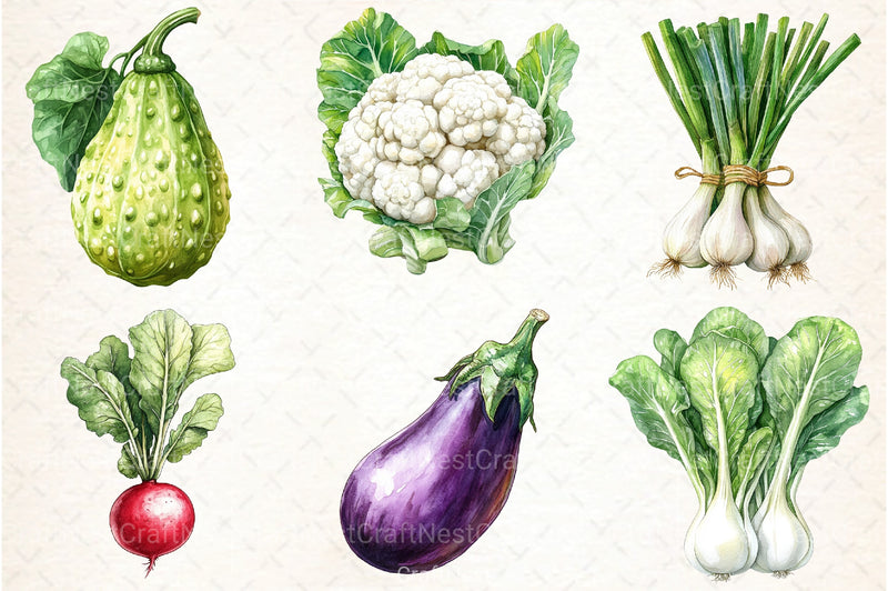 Vegetables Clipart Bundle 99 - CraftNest - Digital Crafting and Art