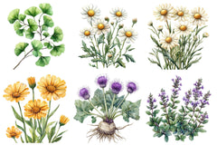 Medicinal Plants Clipart Bundle - CraftNest - Digital Crafting and Art