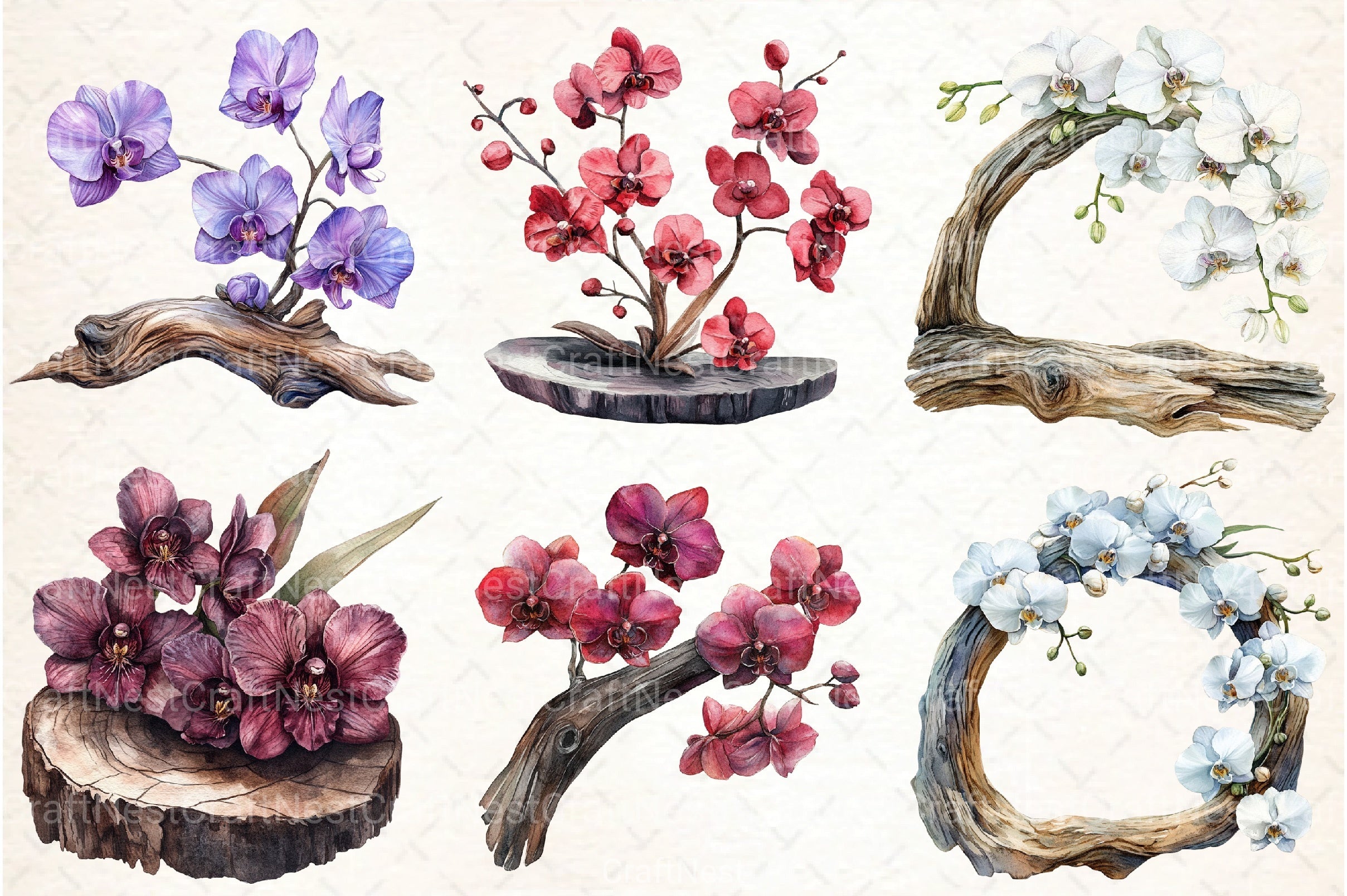 Exclusive Orchid Ikebana on Driftwood Clipart Bundle - CraftNest - Digital Crafting and Art