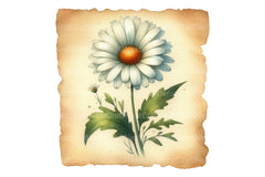 Daisy Dream Flower Clipart Bundle - CraftNest - Digital Crafting and Art