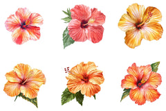 Summer Flower Clipart Bundle - CraftNest - Digital Crafting and Art