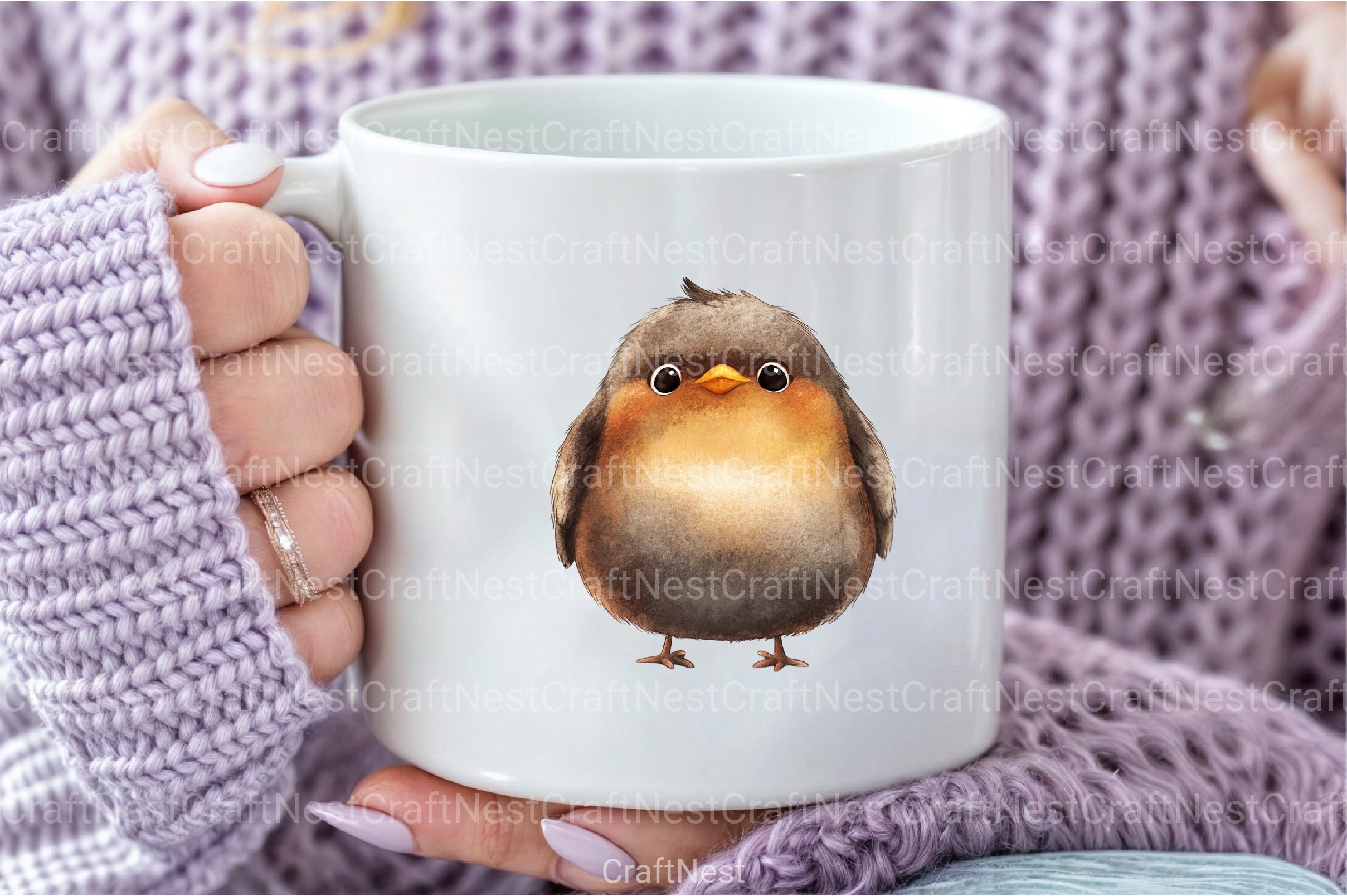 Funny Cartoon Birds Clipart Bundle - CraftNest - Digital Crafting and Art