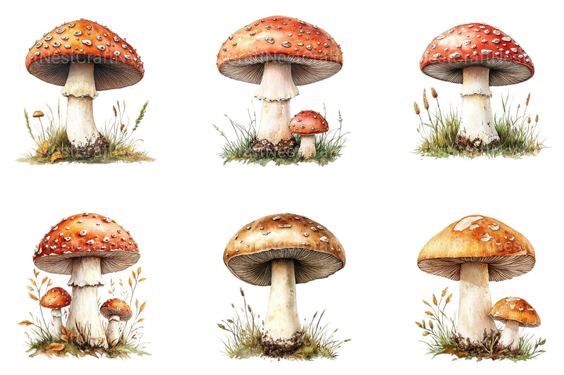 Summer Mushroom Clipart Bundle - CraftNest - Digital Crafting and Art