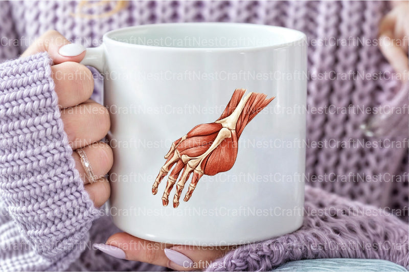 Antique Anatomy Overlays Clipart Bundle - CraftNest - Digital Crafting and Art