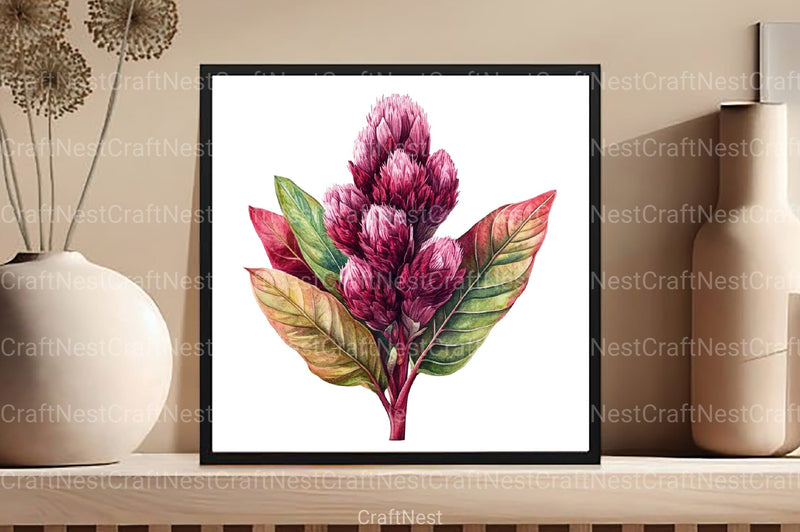 Celosia Flower Clipart Bundle 11 - CraftNest - Digital Crafting and Art