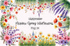 Meadow Spring Wildflowers Clipart Bundle