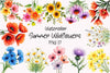 Summer Wildflowers Clipart Bundle