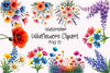 Wildflowers Clipart Bundle 1