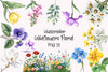 Wildflowers Floral Clipart Bundle