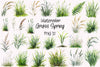 Grass Spring Clipart Bundle