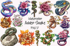 Adder Snake Clipart Bundle - CraftNest - Digital Crafting and Art