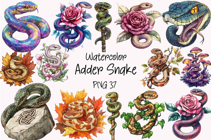 Adder Snake Clipart Bundle - CraftNest - Digital Crafting and Art