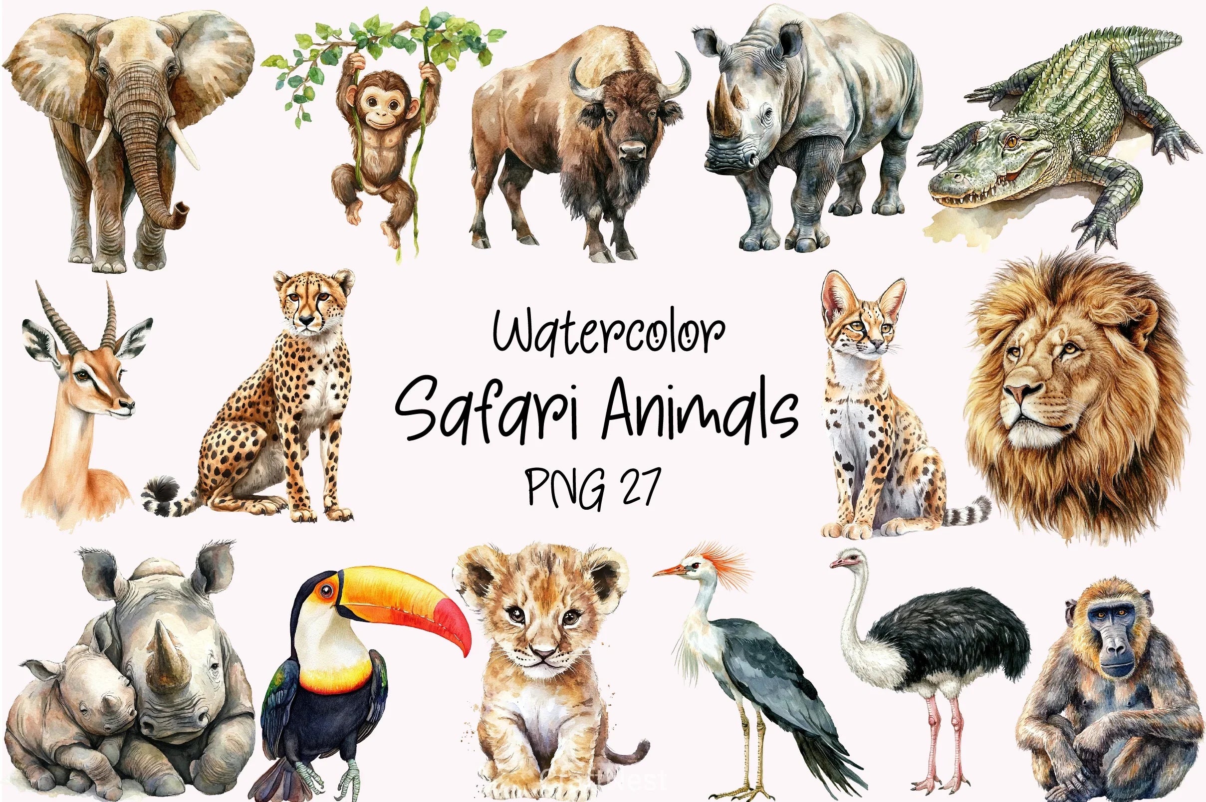 Safari Clipart Bundle - CraftNest - Digital Crafting and Art