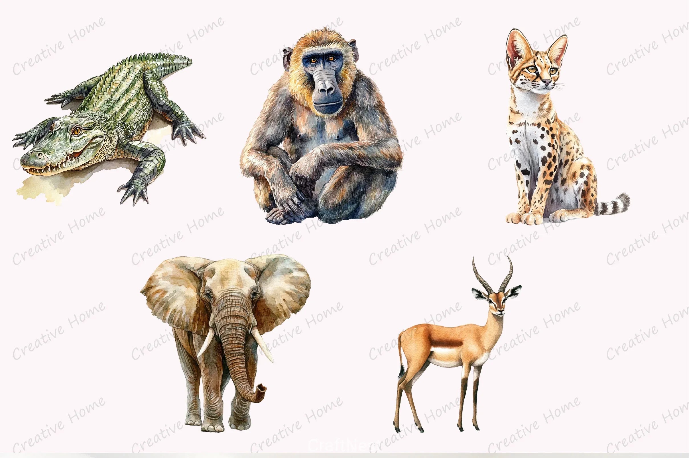 Safari Clipart Bundle - CraftNest - Digital Crafting and Art