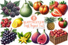 Fresh Organic Fruit Clipart Bundle