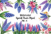 Hyacinth Flower Clipart Bundle