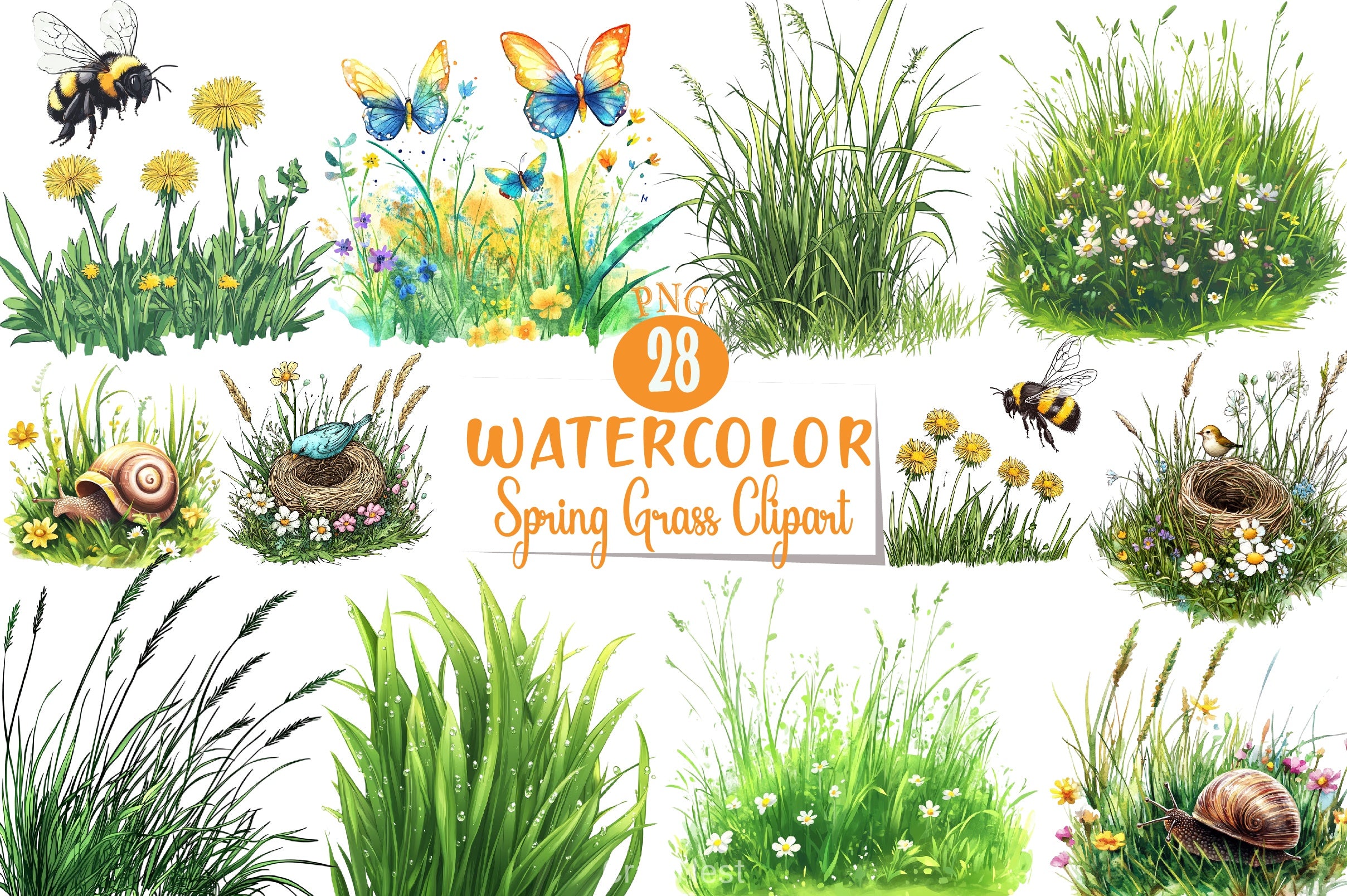 Spring Grass Clipart Bundle - CraftNest - Digital Crafting and Art