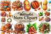 Nuts Clipart Bundle 4