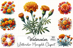 Marigold Clipart Bundle - CraftNest - Digital Crafting and Art