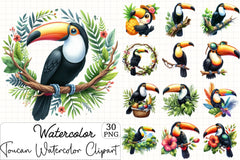 Toucan Clipart Bundle - CraftNest - Digital Crafting and Art