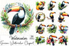 Toucan Clipart Bundle