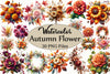 Autumn Flower Clipart Bundle 1