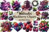 Blackberry Clipart Bundle