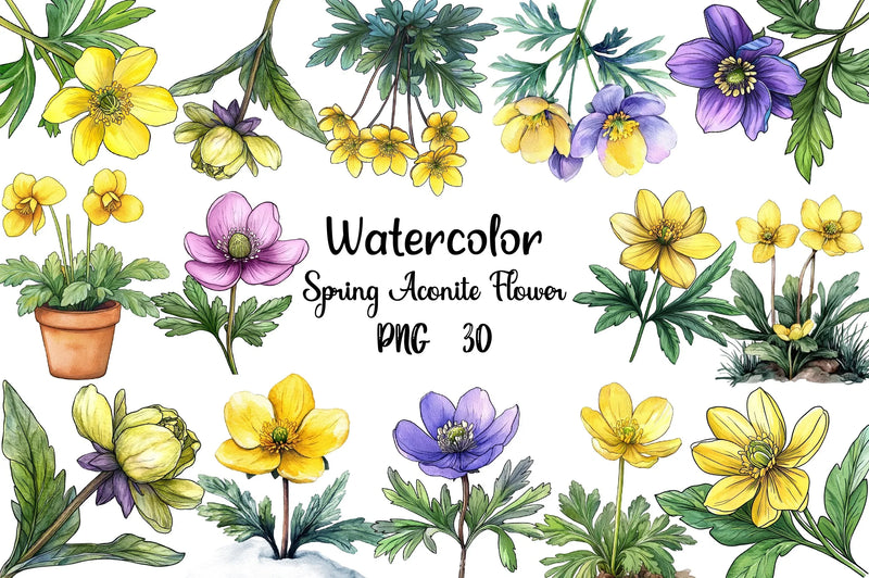 Spring Winter Aconite Flower Clipart Bundle - CraftNest - Digital Crafting and Art