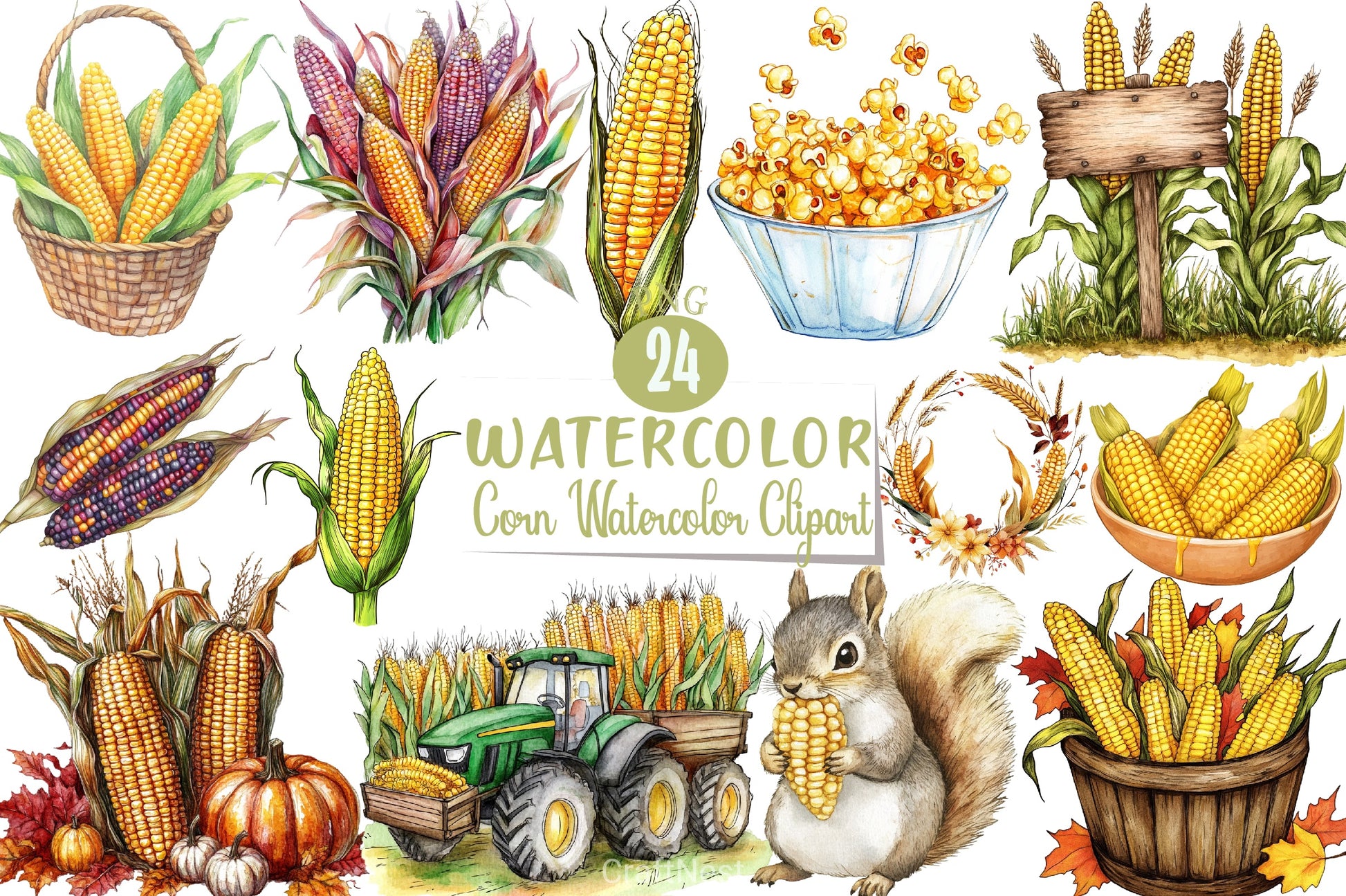 Corn Clipart Bundle - CraftNest - Digital Crafting and Art