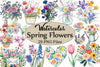 Spring Flowers Clipart Bundle