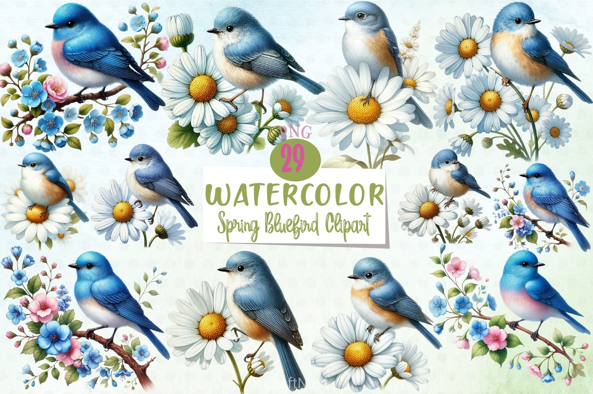 Spring Bluebird Clipart Bundle - CraftNest - Digital Crafting and Art